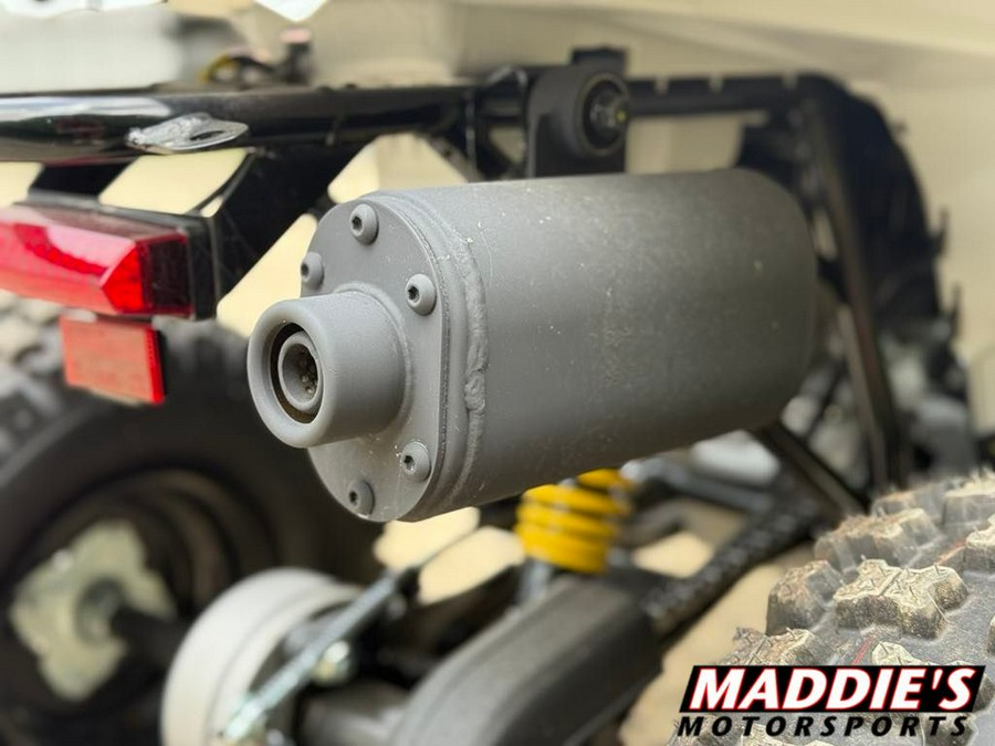 2026 Can-Am Renegade 110 EFI