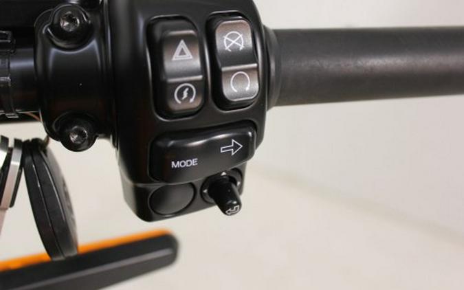 2020 Harley-Davidson Livewire™