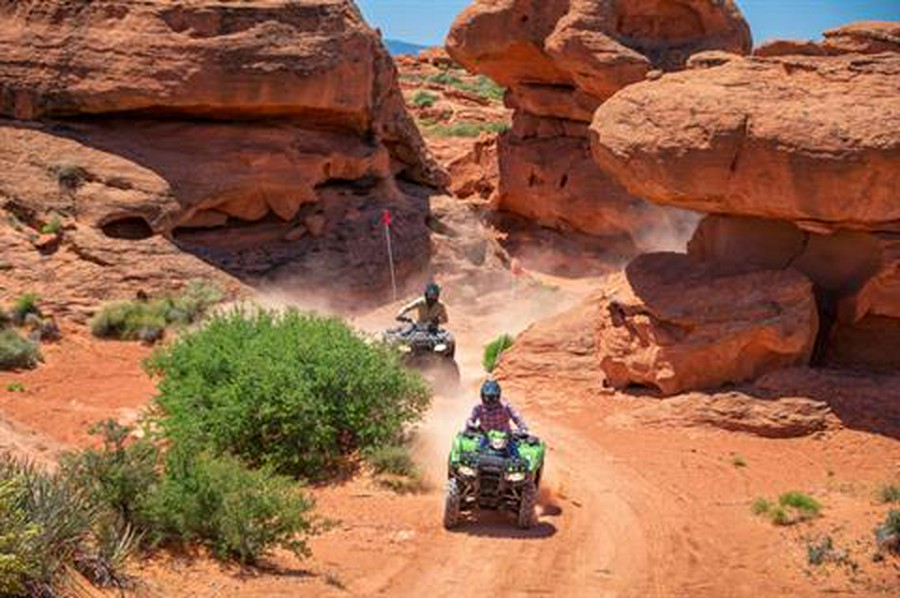 2020 Honda FourTrax Foreman Rubicon 4x4 Automatic DCT EPS Deluxe