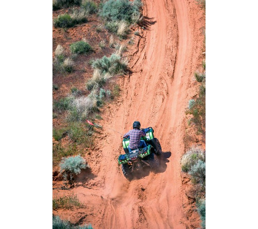 2020 Honda FourTrax Foreman Rubicon 4x4 Automatic DCT EPS Deluxe