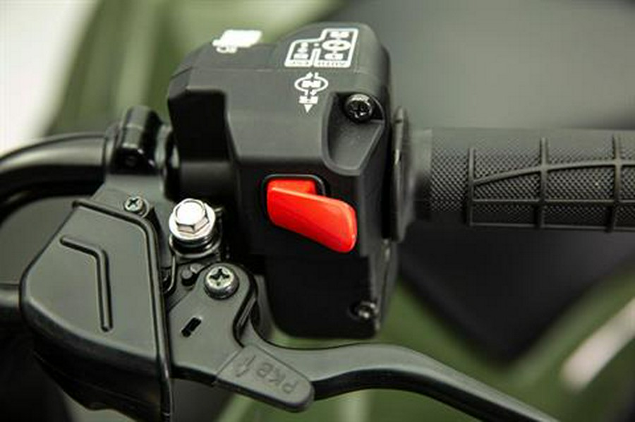 2020 Honda FourTrax Foreman Rubicon 4x4 Automatic DCT EPS Deluxe