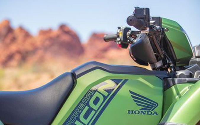 2020 Honda FourTrax Foreman Rubicon 4x4 Automatic DCT EPS Deluxe