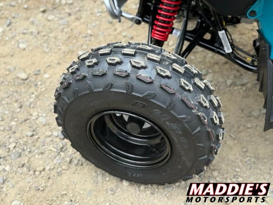 2026 Can-Am Renegade 110 EFI