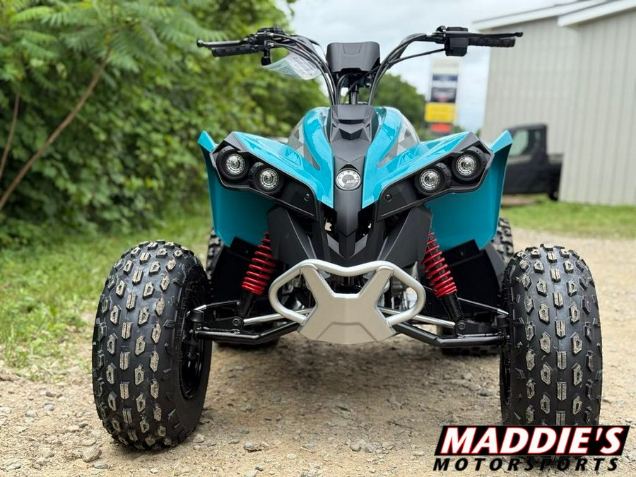 2026 Can-Am Renegade 110 EFI