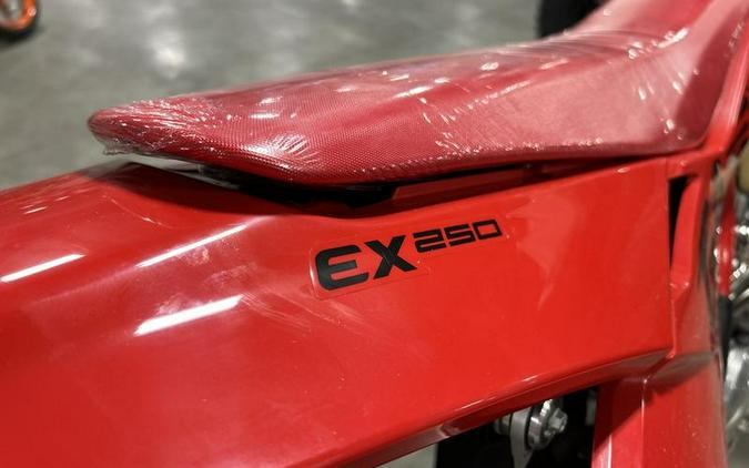 2025 GASGAS EX 250