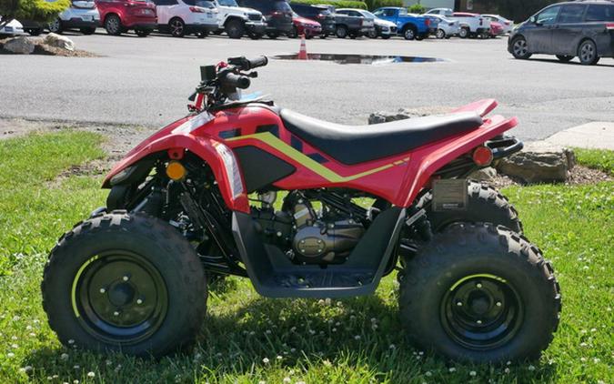 2023 CFMOTO CFORCE 110