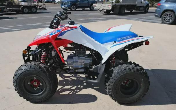 2026 HONDA TRX250X