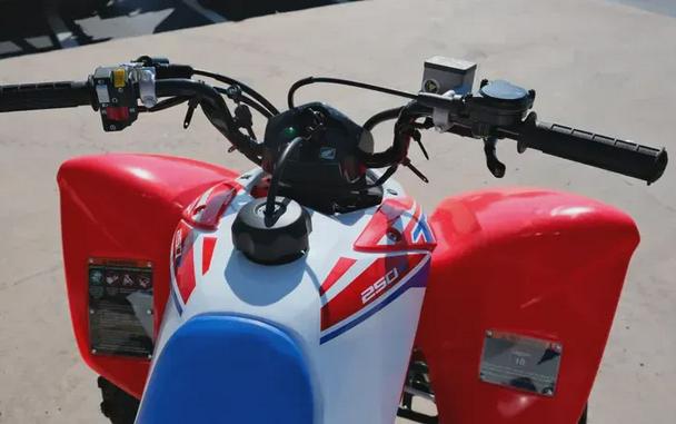 2026 HONDA TRX250X