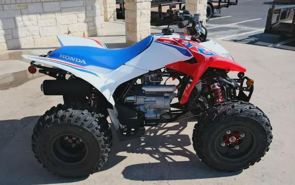 2026 HONDA TRX250X