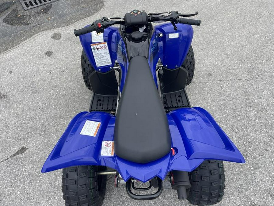 2024 Yamaha Raptor 110