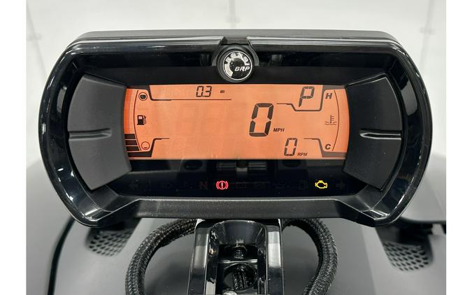 2026 Can-Am Ryker Rally (900 ACE)