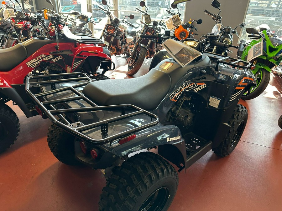 2024 Kawasaki Brute Force 300