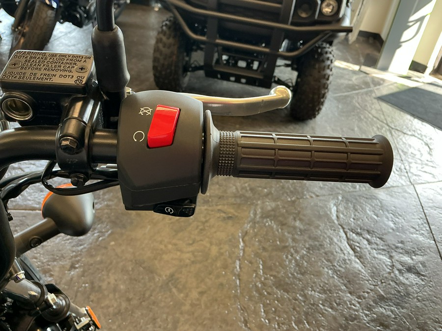 2026 W175 - Kawasaki