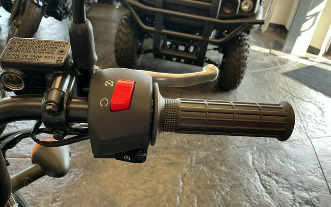2026 W175 - Kawasaki