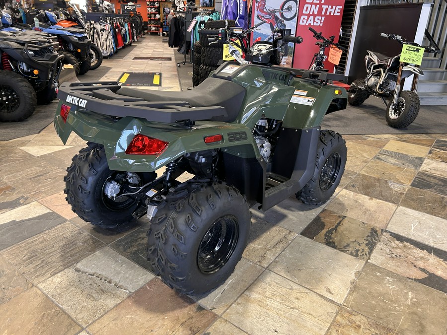2026 Arctic Cat Off Road Alterra 300 2x4