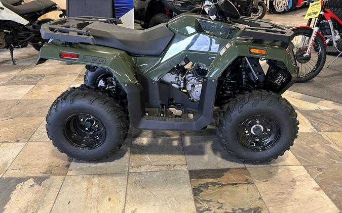 2026 Arctic Cat Off Road Alterra 300 2x4