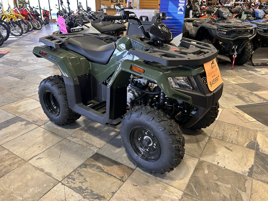 2026 Arctic Cat Off Road Alterra 300 2x4