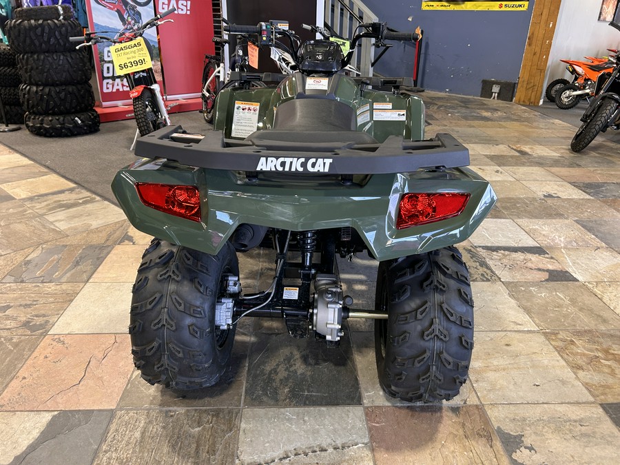 2026 Arctic Cat Off Road Alterra 300 2x4
