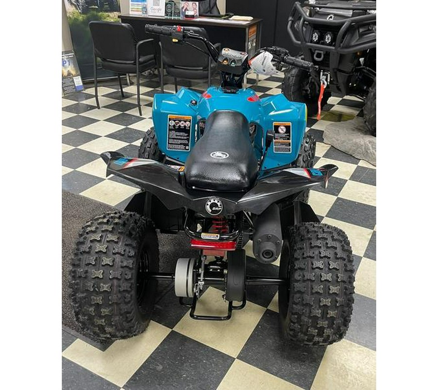 2026 Can-Am® Renegade 110 EFI