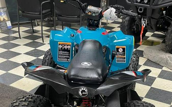 2026 Can-Am® Renegade 110 EFI