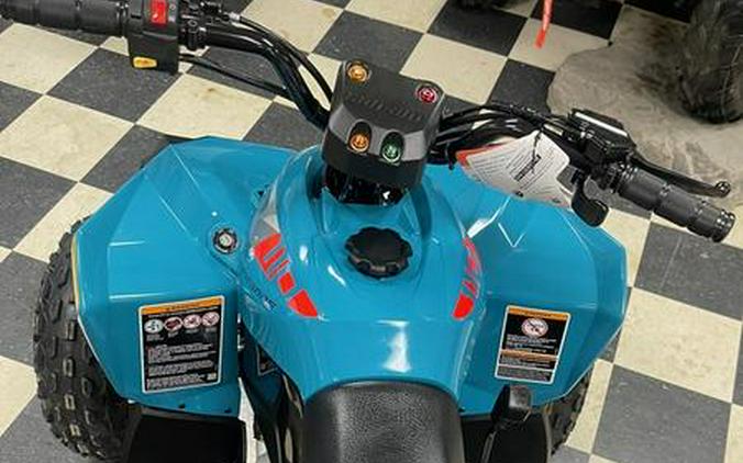 2026 Can-Am® Renegade 110 EFI