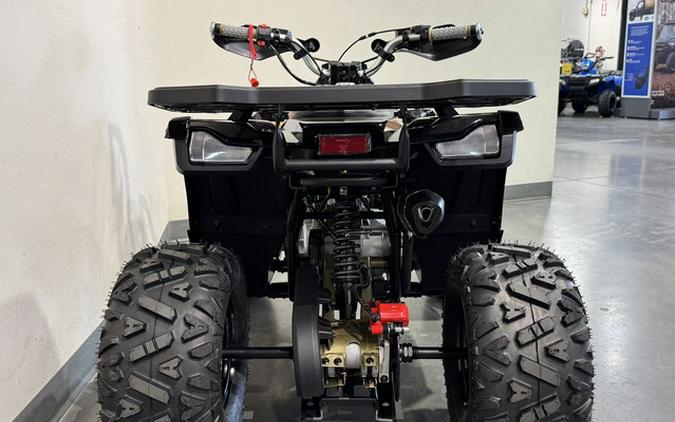 2026 Denago Powersports Mudhawk 10FI