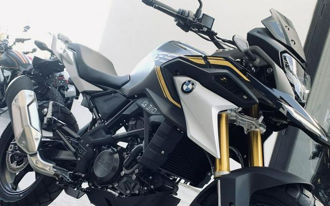 2021 BMW G 310 GS First Look Preview