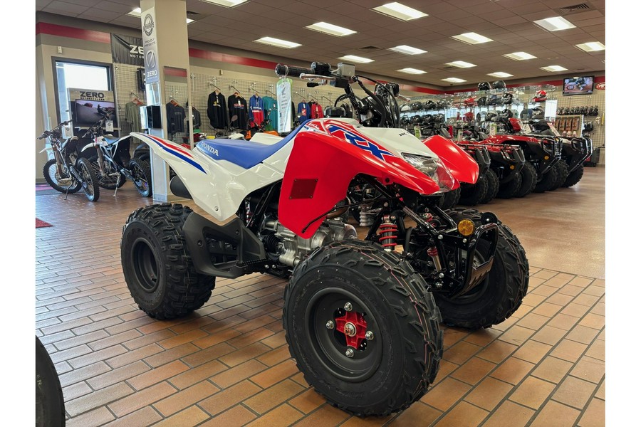2026 Honda TRX250X