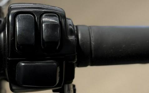 2003 Harley-Davidson® FLSTFI - Fat Boy® Injection
