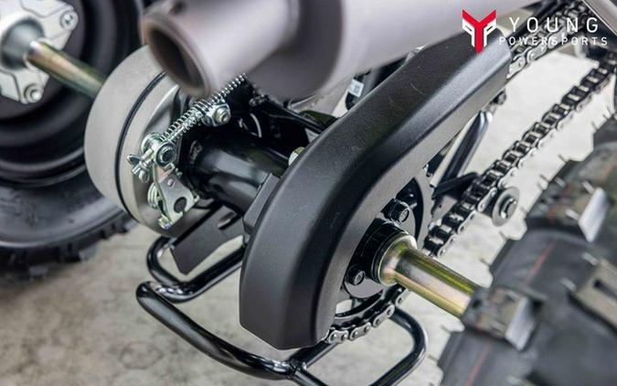 2026 Yamaha Raptor 110