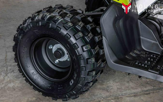 2026 Yamaha Raptor 110