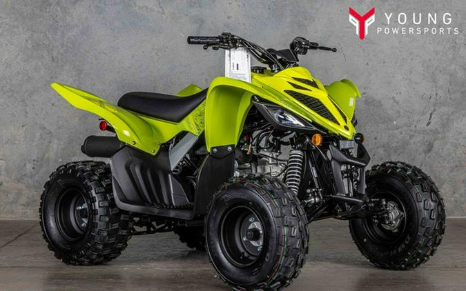 2026 Yamaha Raptor 110
