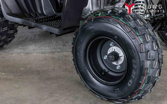 2026 Yamaha Raptor 110