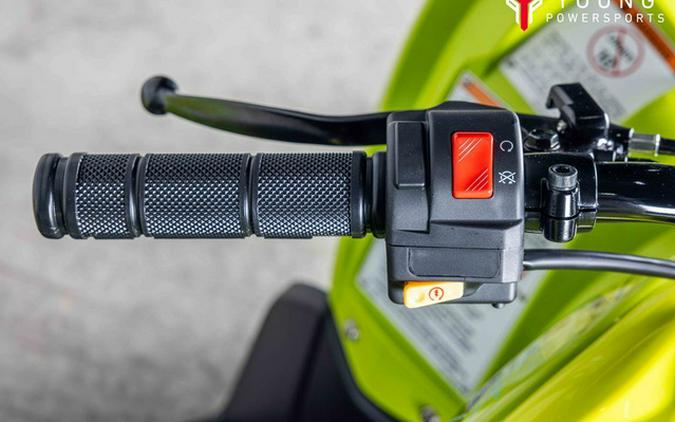 2026 Yamaha Raptor 110