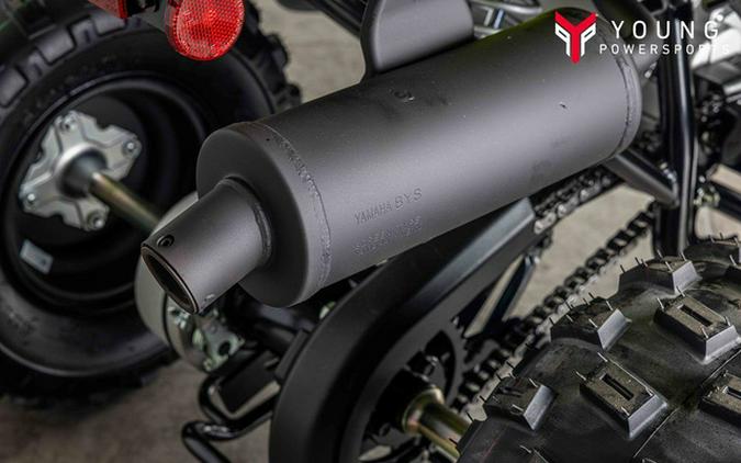 2026 Yamaha Raptor 110