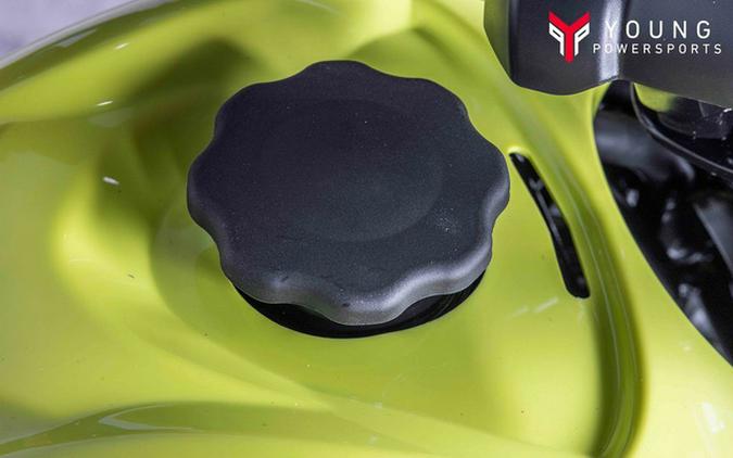 2026 Yamaha Raptor 110