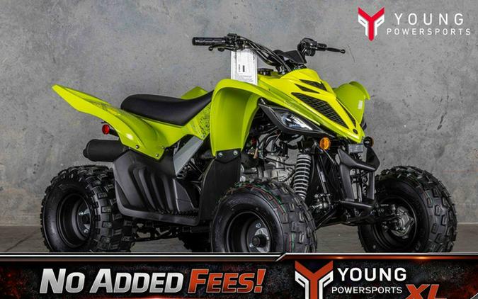 2026 Yamaha Raptor 110