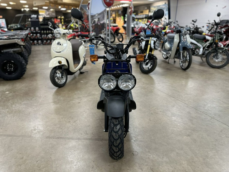 2023 Honda Ruckus