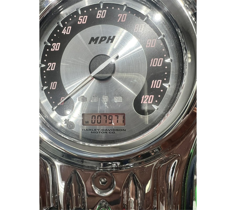 2009 Harley-Davidson Softail® CVO™ Springer®