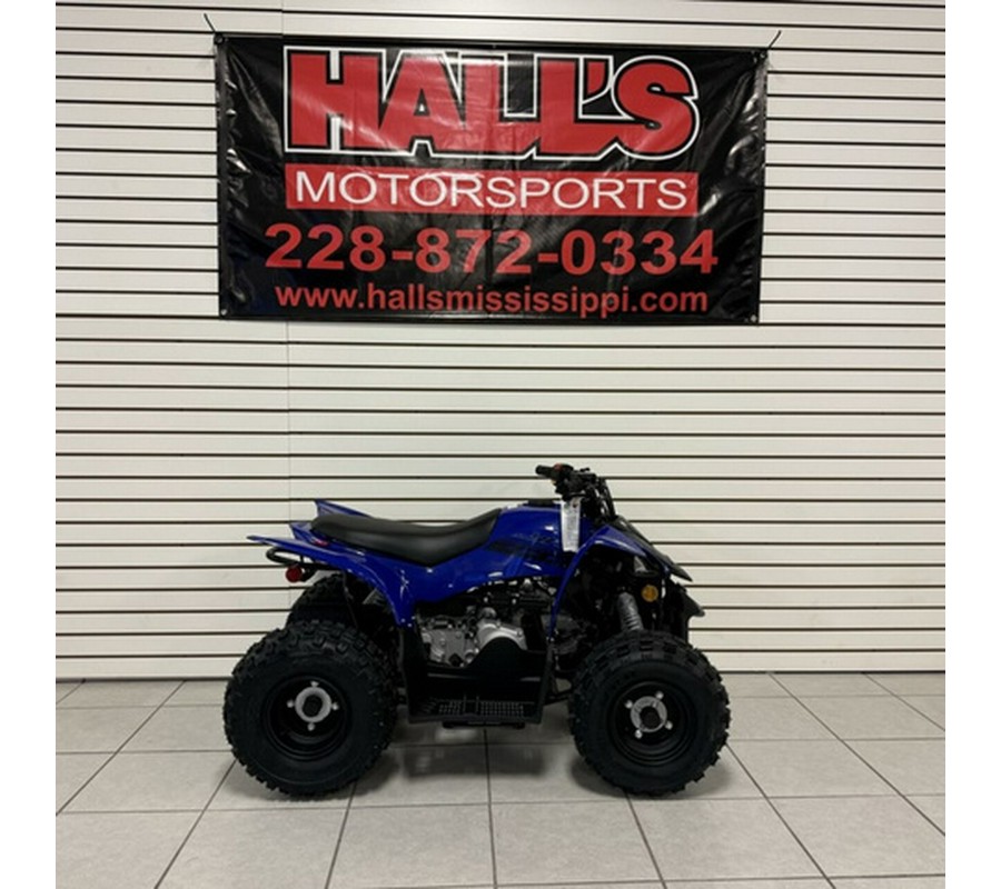 2025 Yamaha YFZ05YYXSL