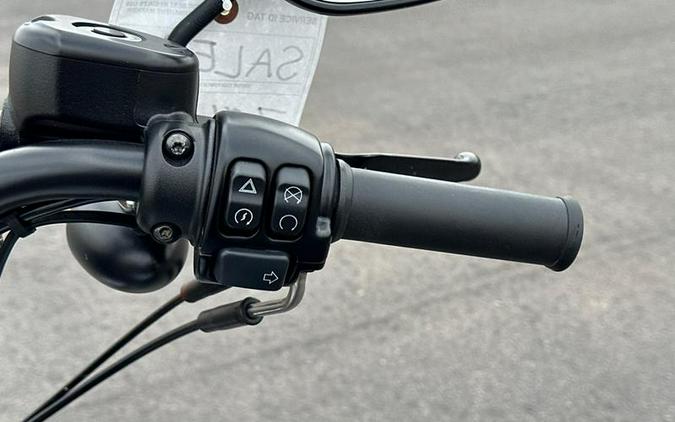 2020 Harley-Davidson® XL1200NS - Sportster® Iron 1200™