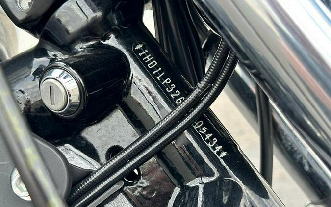 2020 Harley-Davidson® XL1200NS - Sportster® Iron 1200™