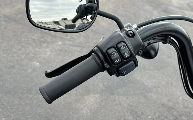 2020 Harley-Davidson® XL1200NS - Sportster® Iron 1200™