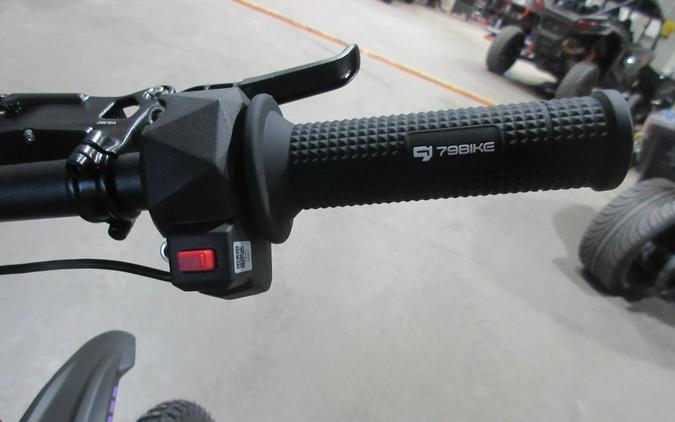 2025 79 BIKE FALCON PRO