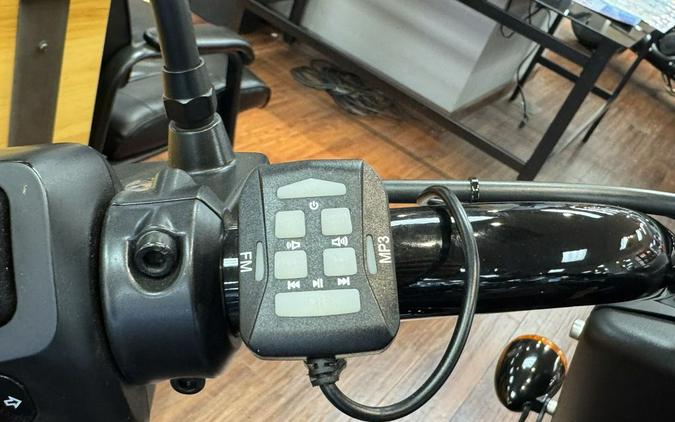 2021 Indian Motorcycle® Vintage Dark Horse® Thunder Black Smoke