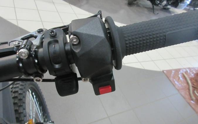 2026 79 BIKE FALCON GT