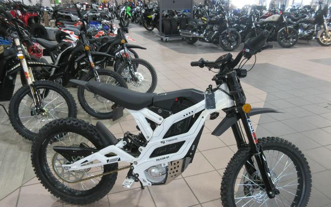 2026 79 BIKE FALCON GT