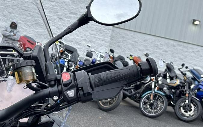 2025 Triumph Tiger 1200 Rally Pro Matt Khaki Green