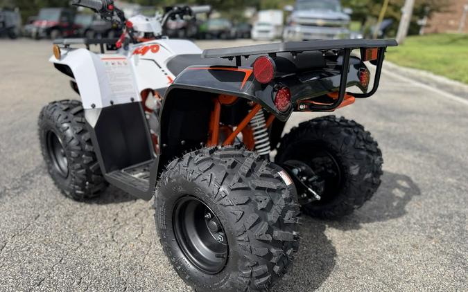 2027 Kayo Bull 110