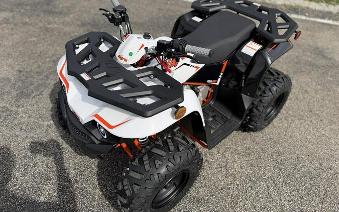 2027 Kayo Bull 110